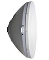 microwave antenna